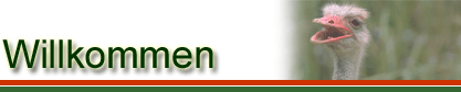 Willkommen